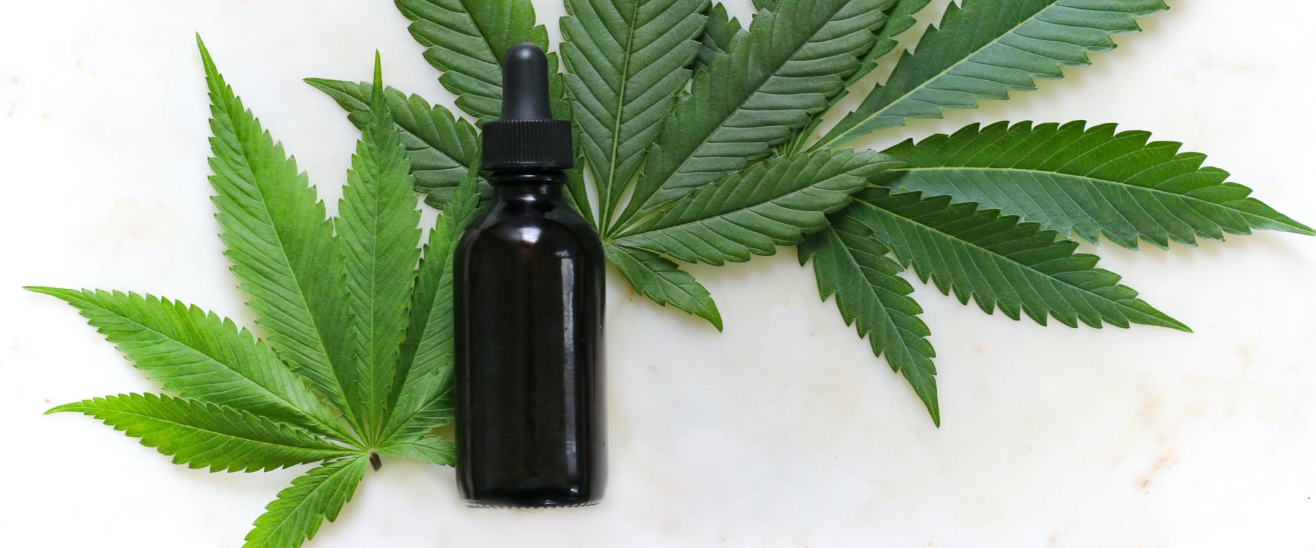 Essential Information About CBD Oil And CBD Tinctures