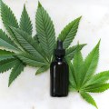 Essential Information About CBD Oil And CBD Tinctures